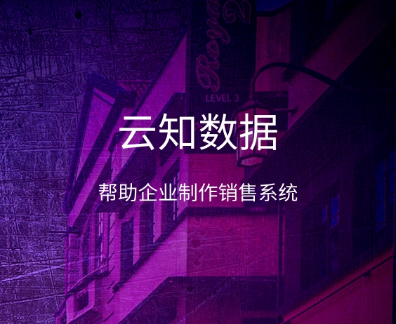 可以使用EXCEL做销售管理系统吗}